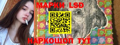 спиды Донской
