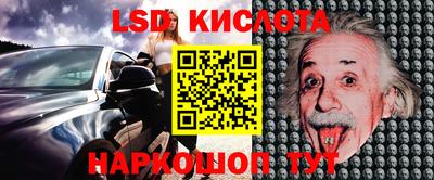 амф Заволжье