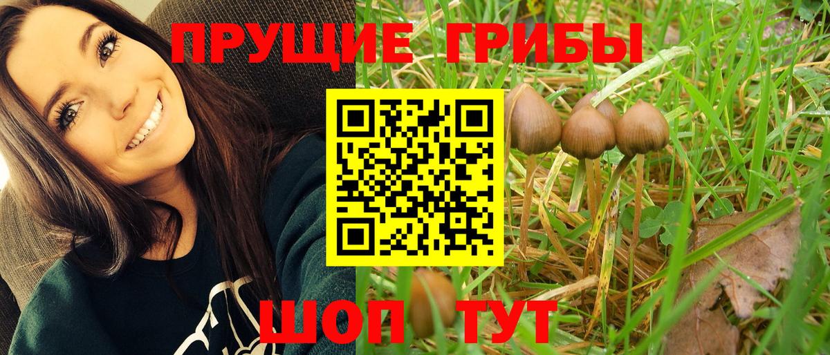 Кызыл  Галлюциногенные грибы мицелий  где продают   Вход с VPN 